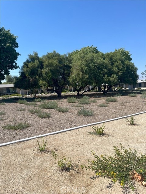 Building Photo - 27067 Sun City Blvd