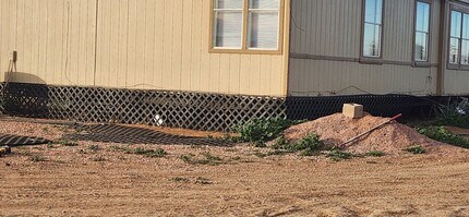 Building Photo - 28763 N Palos Dr