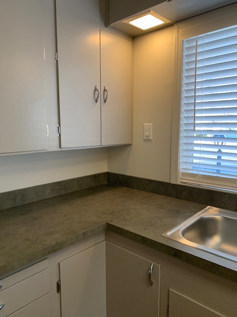 New countertop & stainless sink - 1224 Lewis Ave