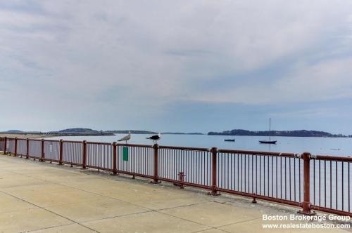 Foto principal - 5 bedroom in South Boston MA