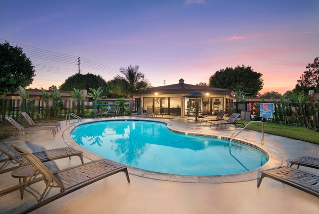 Relax at our sparkling pools - Grove House