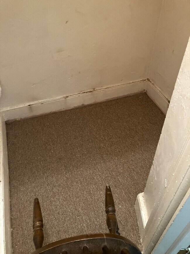 Foto del edificio - 48 Carlton Ave