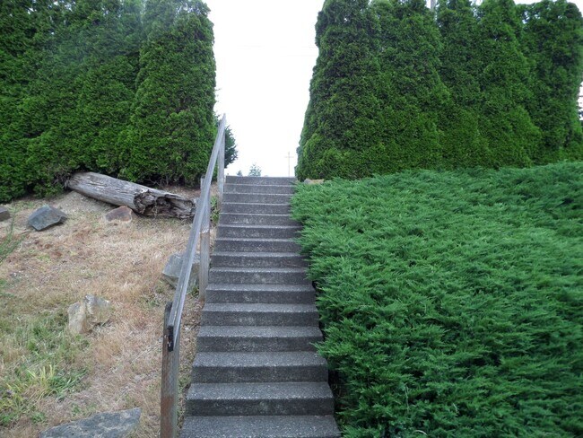 Foto del edificio - Great 3-Bedroom Duplex in North Tacoma - T...