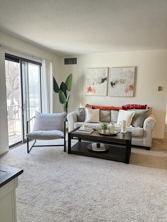 Foto del edificio - 59 Village Brook Ln