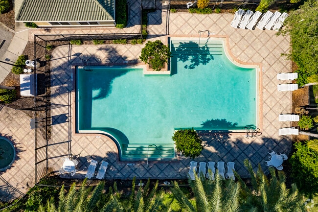 Piscina - 5029 N 40th St Tampa, FL, 33610 - Brandywine Apartments