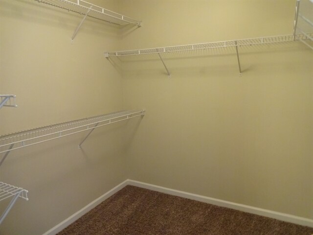 Foto del edificio - 1152 Tupelo Chase Ct