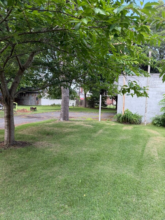 Backyard - 13A Alden St