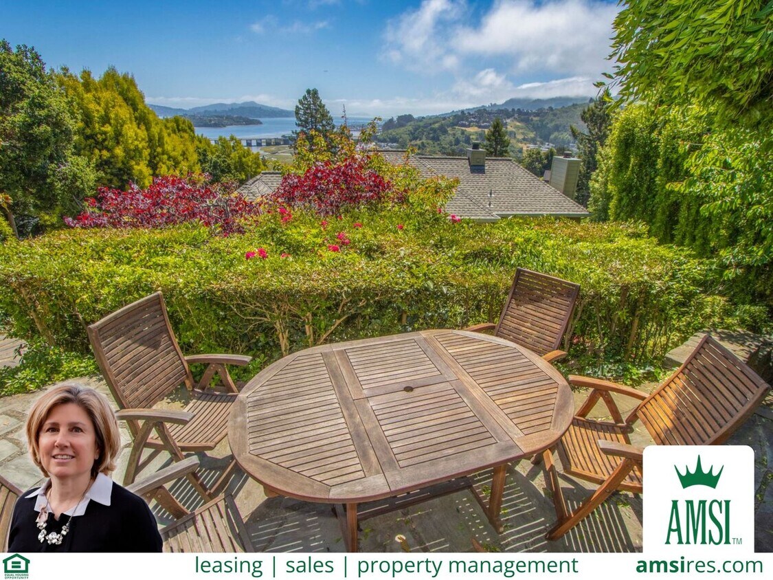 Primary Photo - Fabulous Mill Valley Home