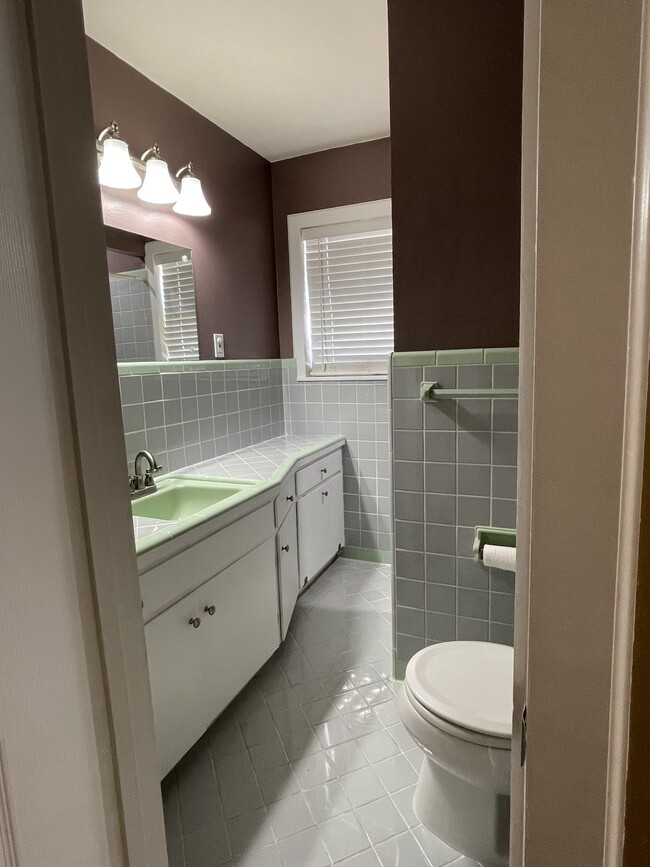 Master Bathroom - 405 Stricklen Ave