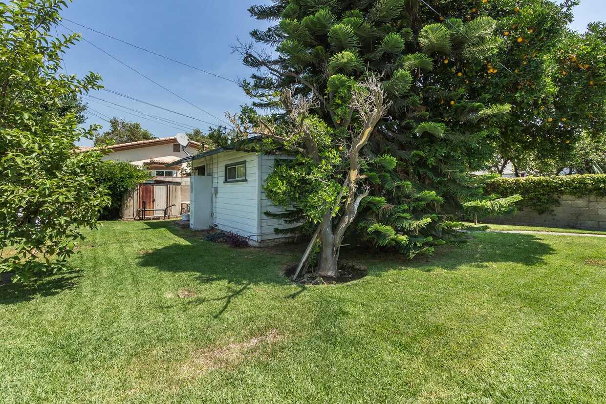 Building Photo - 5951 1/2 Cloverly Ave