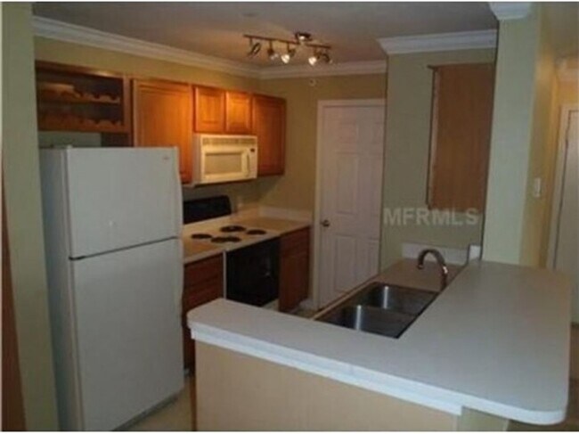 Building Photo - NEWER AND SPACIOUS CONDO IN NEW TAMPA