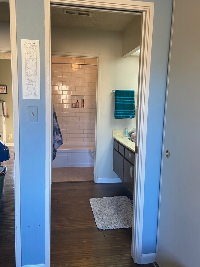 Master Bathroom/Sink - 1104 Verdemar Dr