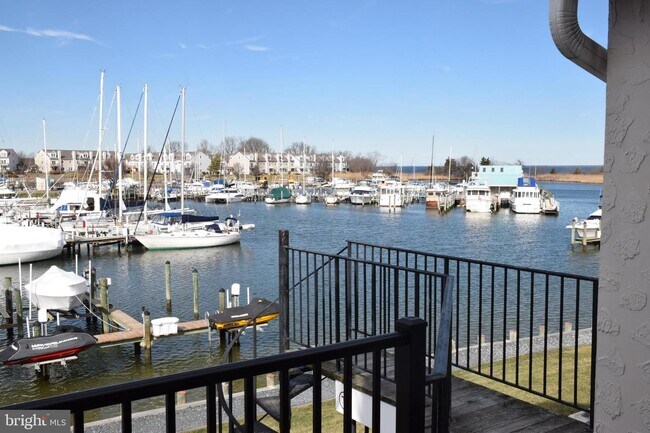 Foto del edificio - 7D Queen Victoria Way