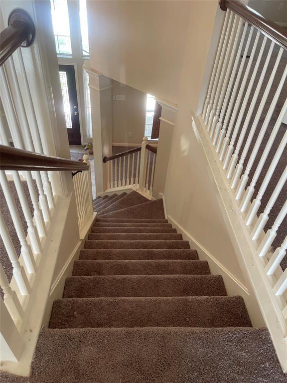 Foto del edificio - 2602 Canyon Bluff Dr
