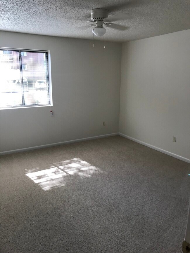 Foto del edificio - 140 Green Turtle Ln