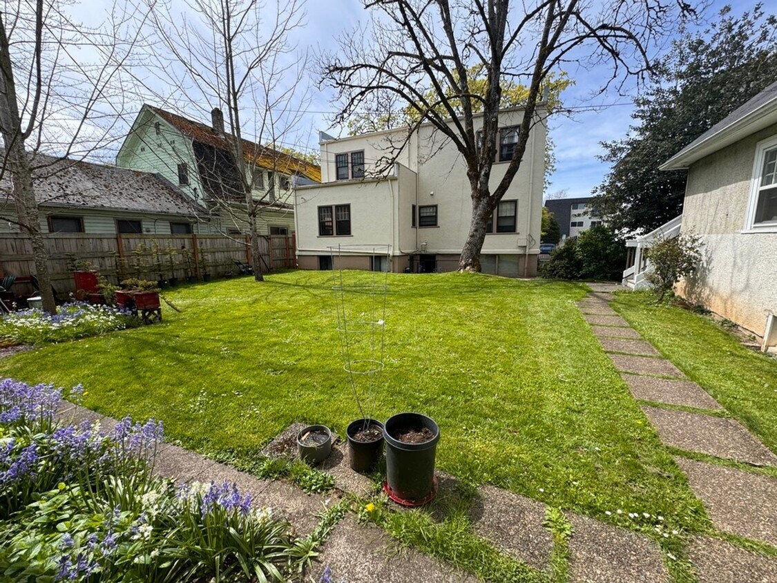 Foto principal - 2 Bedroom 1 bath downtown apartment availa...