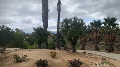 Building Photo - 35800 Calle Nopal