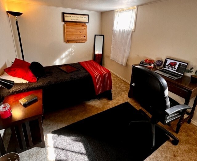 803 S Washington St Unit 4, Dillon, MT 59725 Room for Rent in Dillon