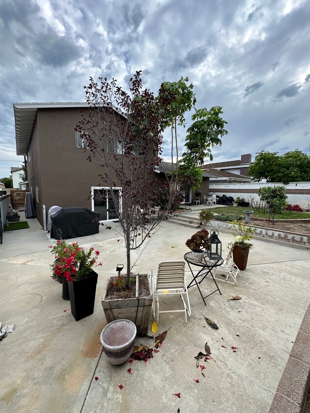 Primary Photo - 2415 W 230th St