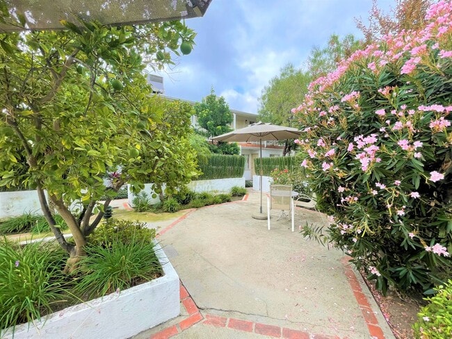Building Photo - Studio Apartment - North Hollywood -Move I...
