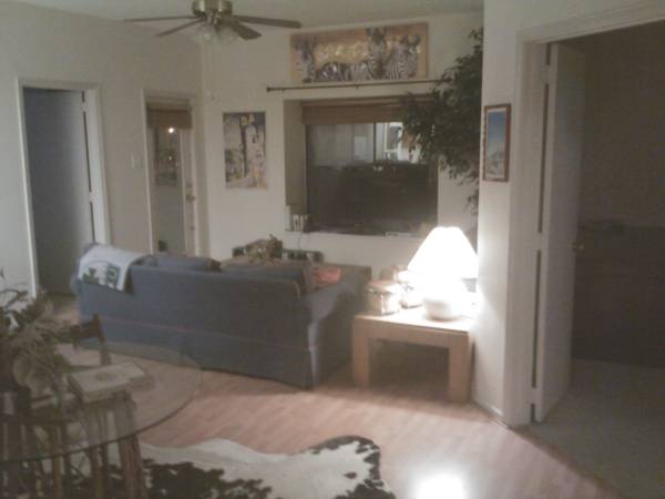 Shared Furnished Living-Dining-fromEntry door - 2213 S Braeswood Blvd