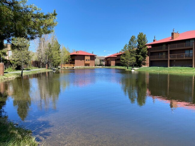 Foto del edificio - Frisco 4 Bedroom!  Garage, Clubhouse, Near...