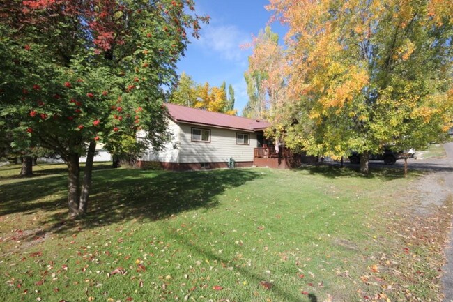 Building Photo - 512 Skyles Pl