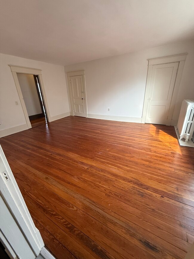 Large living room with closet space and newly refinished hardwood floors - 428 S Main St