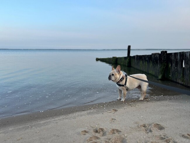 Building Photo - 105 Krause Rd