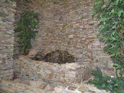 Foto del edificio - 1112 Highland Bluff Dr S E