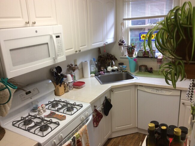 Building Photo - 100 Biddle Ave