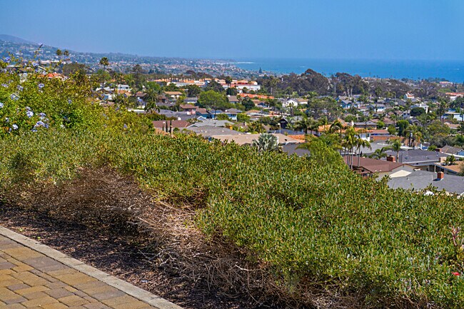 Grand Views!!! Must see in person!! - 4021 Via Manzana
