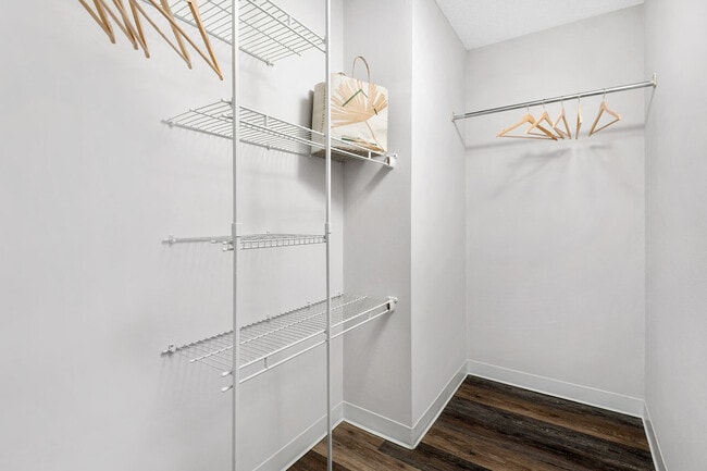 Model Unit Closet - Chestnut Place