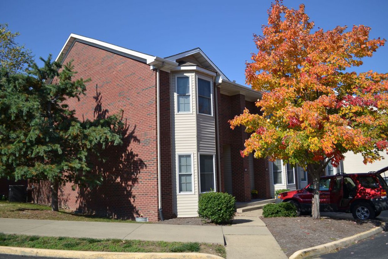 Primary Photo - Nicholasville Road Account - Student Housing
