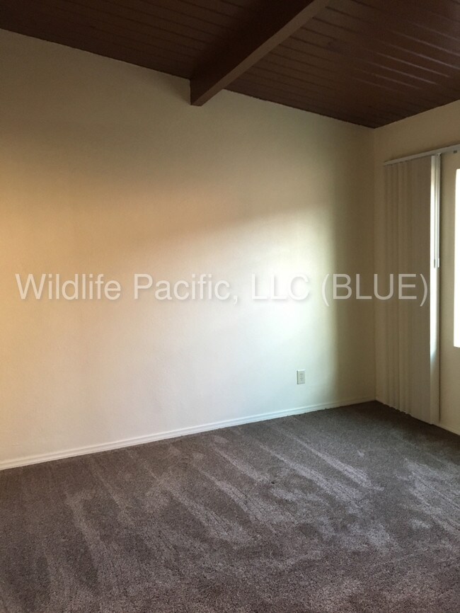 Building Photo - Nice remodeled Duplex near Clairemont Square