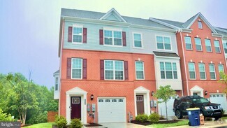 Building Photo - 8037 Potter Pl