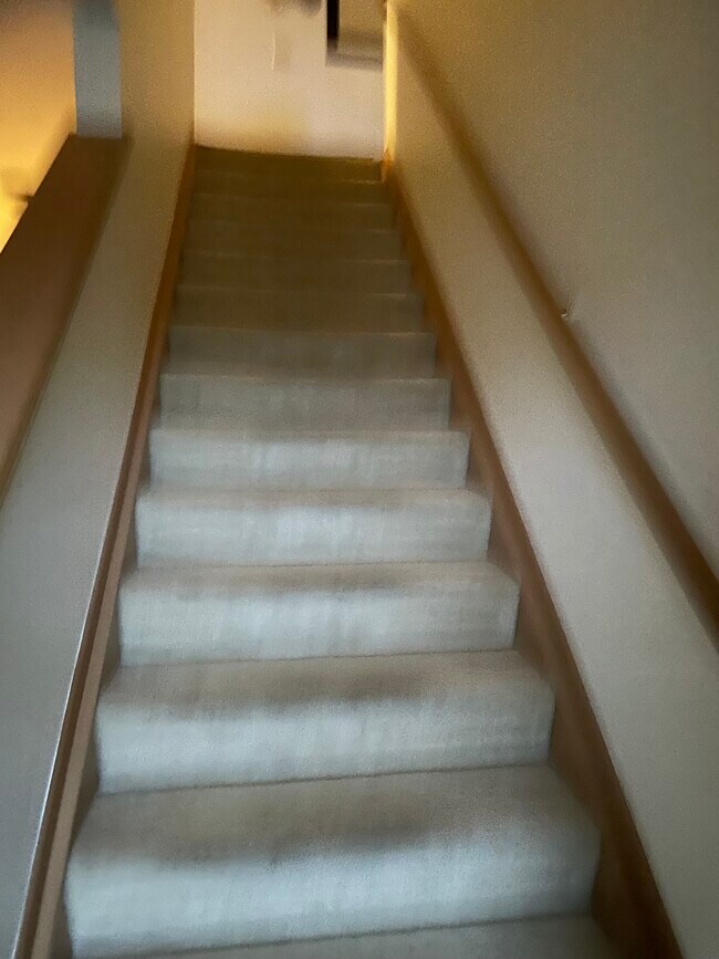 Foto del edificio - 4715 Kenross Dr
