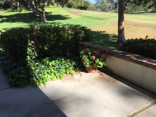 Building Photo - 42 Arboles