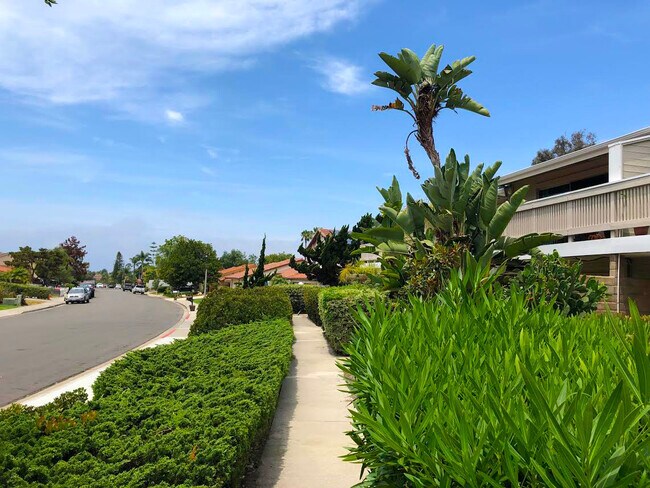 The pool, mail box, or Luciernaga street can be accessed from the downstairs bedrooms through secluded path. - 2838 Luciernaga St
