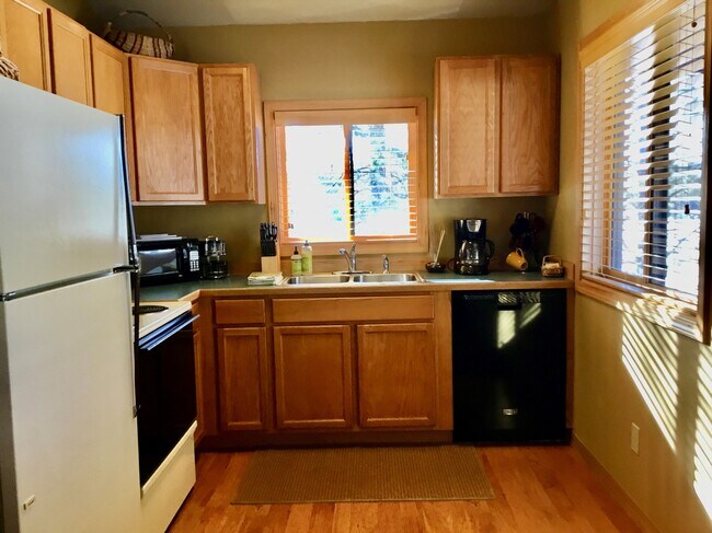 Building Photo - 223 Magnesia Creek Ln