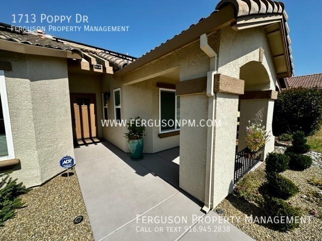 Building Photo - Gorgeous Rocklin Home With Solar That Back...