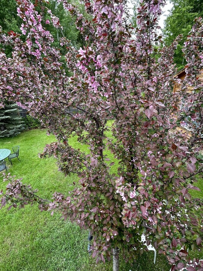 Building Photo - 439 S Tyler Ave