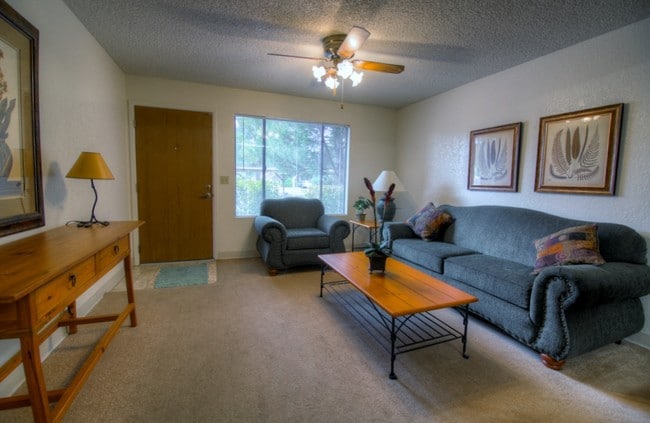 1 dormitorio, 1 baño, sala de estar - Mountain View Villa Apartments