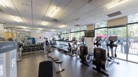 The fitness center at 55 N Water St in Norwalk, CT is a well-equipped, single-floor facility designed to accommodate a comprehensive range of workout routines. The space is organized into two distinct functional zones: a cardio area and a strength training area, both finished with durable rubber flooring suited for high-traffic athletic use.

The cardio zone is positioned along a wall of floor-to-ceiling windows, allowing abundant natural light to fill the space and offering views of an adjacent outdoor patio area with lush greenery. This section houses multiple treadmills, elliptical trainers, and stationary bikes, each equipped with individual digital displays. A wall-mounted flat-screen television is positioned for visibility across the cardio equipment. The bright, airy atmosphere in this area creates an inviting environment for sustained aerobic exercise.

The strength training area is delineated by glass partition walls and mirrors, which visually expand the space while providing functional reflection for form monitoring. This section includes a cable machine, squat rack with free weights, adjustable benches, and a full dumbbell rack. Stability balls and additional accessories are also available. Overhead fluorescent lighting provides consistent illumination throughout. Together, both zones create a fully functional and well-maintained fitness environment.