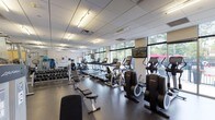 The fitness center at 55 N Water St in Norwalk, CT is a well-equipped, single-floor facility designed to accommodate a comprehensive range of workout routines. The space is organized into two distinct functional zones: a cardio area and a strength training area, both finished with durable rubber flooring suited for high-traffic athletic use.

The cardio zone is positioned along a wall of floor-to-ceiling windows, allowing abundant natural light to fill the space and offering views of an adjacent outdoor patio area with lush greenery. This section houses multiple treadmills, elliptical trainers, and stationary bikes, each equipped with individual digital displays. A wall-mounted flat-screen television is positioned for visibility across the cardio equipment. The bright, airy atmosphere in this area creates an inviting environment for sustained aerobic exercise.

The strength training area is delineated by glass partition walls and mirrors, which visually expand the space while providing functional reflection for form monitoring. This section includes a cable machine, squat rack with free weights, adjustable benches, and a full dumbbell rack. Stability balls and additional accessories are also available. Overhead fluorescent lighting provides consistent illumination throughout. Together, both zones create a fully functional and well-maintained fitness environment.