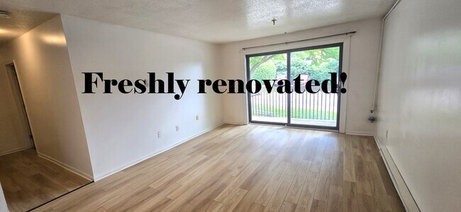 Enorme sala de estar en apartamento de 2 dormitorios sin amueblar. - 37 S. Williams St