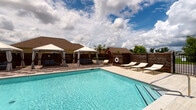 This amenity space combines outdoor relaxation with indoor fitness facilities. The pool area features crystal-clear blue water framed by a spacious deck finished in neutral pavers. Elegant white canopy gazebos with curtained sides provide shaded lounge areas furnished with plush seating, while a row of modern chaise lounges lines the perimeter, ideal for sunbathing. A dark wood privacy fence encloses the space, creating a secluded atmosphere beneath open skies.

The fitness center is well-appointed and organized across a generously sized room featuring herringbone-patterned carpet flooring and recessed lighting. Large windows fitted with white blinds allow ample natural light and outdoor views throughout the space. Ceiling fans maintain comfortable airflow. A full-length mirror wall visually expands the strength training area, which houses a multi-station cable machine, power rack, dumbbells, medicine balls, battle ropes, and a rowing machine. A dedicated cardio zone includes multiple treadmills accompanied by a wall-mounted television. A Precor stationary bike and additional free weights round out the comprehensive equipment offering, making this a versatile facility suited to a wide range of workout routines.