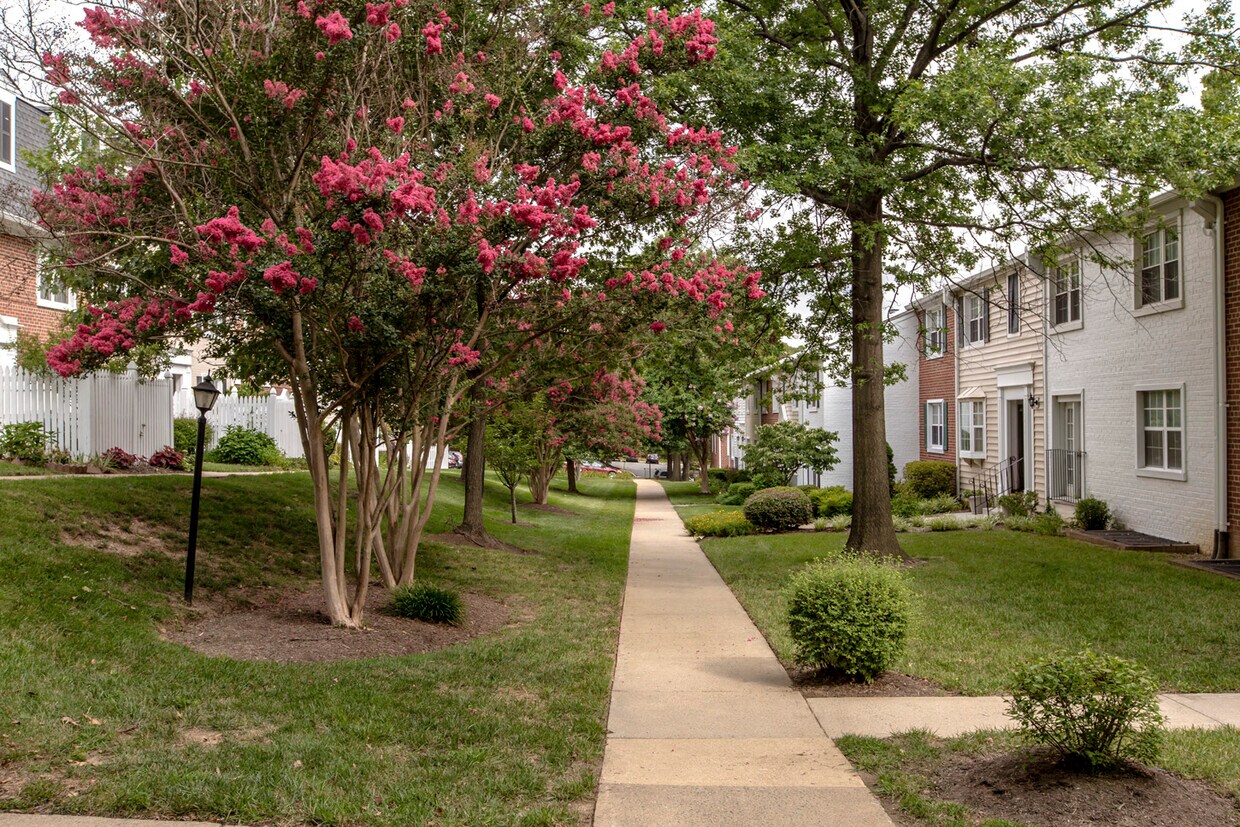 4641 28th Rd S Unit B, Arlington, VA 22206 Condo for Rent in