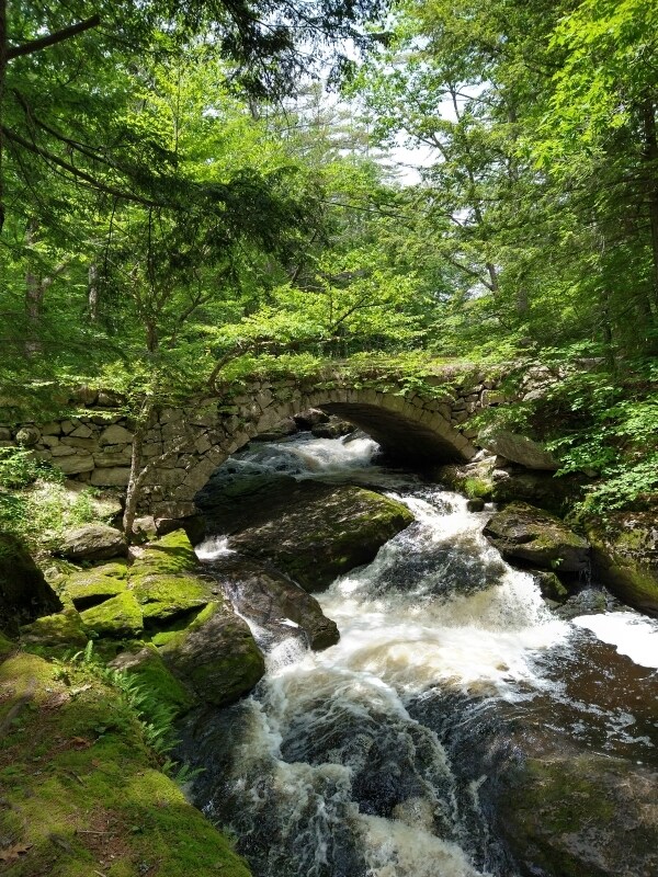 566 Beard Rd, Hillsboro, NH 03244 House Rental in Hillsboro, NH