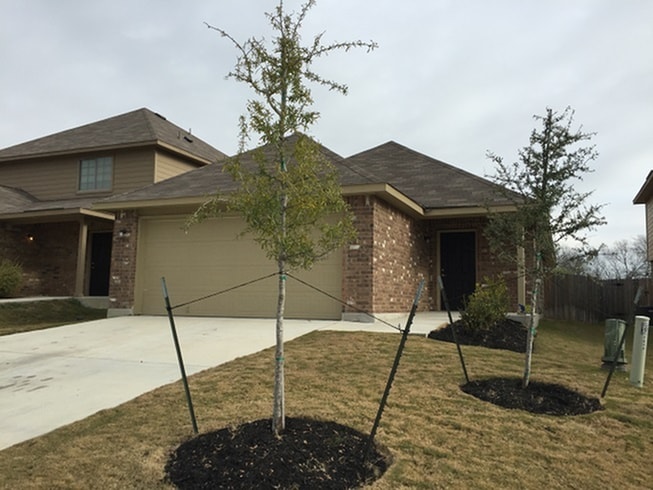Foto principal - 7606 Cypress Vine